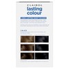 Clairol Lasting Colour Permanent Hair Dye | Perfect Grey Coverage