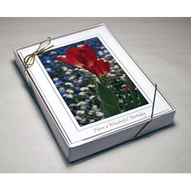 Photographer's Edge Cleartop Greeting Card Box, For 5" x 7" (A-7) Cards, Qty 50