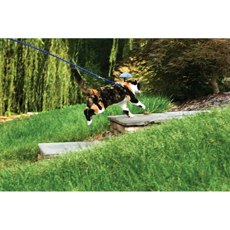 PetSafe Easy Walk Cat Harness & Bungee Lead Blue Cats