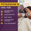 WellnessOne Ionic Potassium Supplement - Potassium Chloride Drops for Fast
