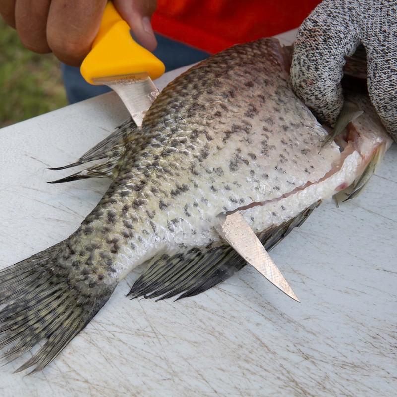 SMITH'S REGALRIVER 51409 5 PC Fishing Combo Yellow