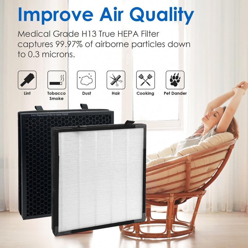 Flintar True HEPA Replacement Filter, Compatible with Okaysou(Oksou) Apollo 630/718