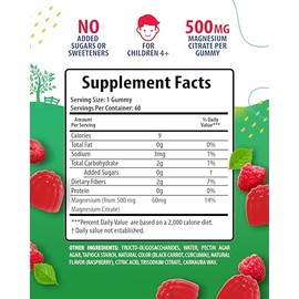 OBY Calm Glicinato de Magnesio 60 capsulas 500 mg. Enriquecidas con GABA, Vitamina B1, L-Theanina, Óxido de Magnesio y Lemon Balm | Suplemento Natural