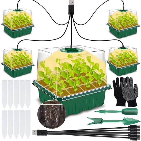 GUHAOOL Mini Greenhouse Propagation, Pack of 5 Indoor Greenhouse Propagation Box with Light, Greenhouse Propagation Tray with High Lid, Full Spectrum Grow Lights, 10 Labels, 2 Tools, 1 Pair of Gloves