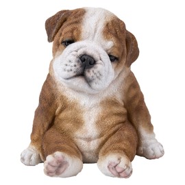 Sitting Sleepy Bulldog Puppy