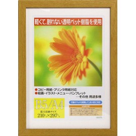 イワタ 額縁 ガーベラ B5/A4 木製 ナチュラル GM-154NT-A4