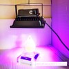 Impresora Resina 405 Luz Curado Efecto Placa Giratoria Solar Hoja