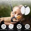 Bearded Dragon Harness and Leash Set, 3-Size Adjustable Soft Leather