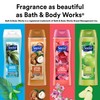 Suave Moisturizing Body Wash, Cocoa Butter and Shea with Vitamin
