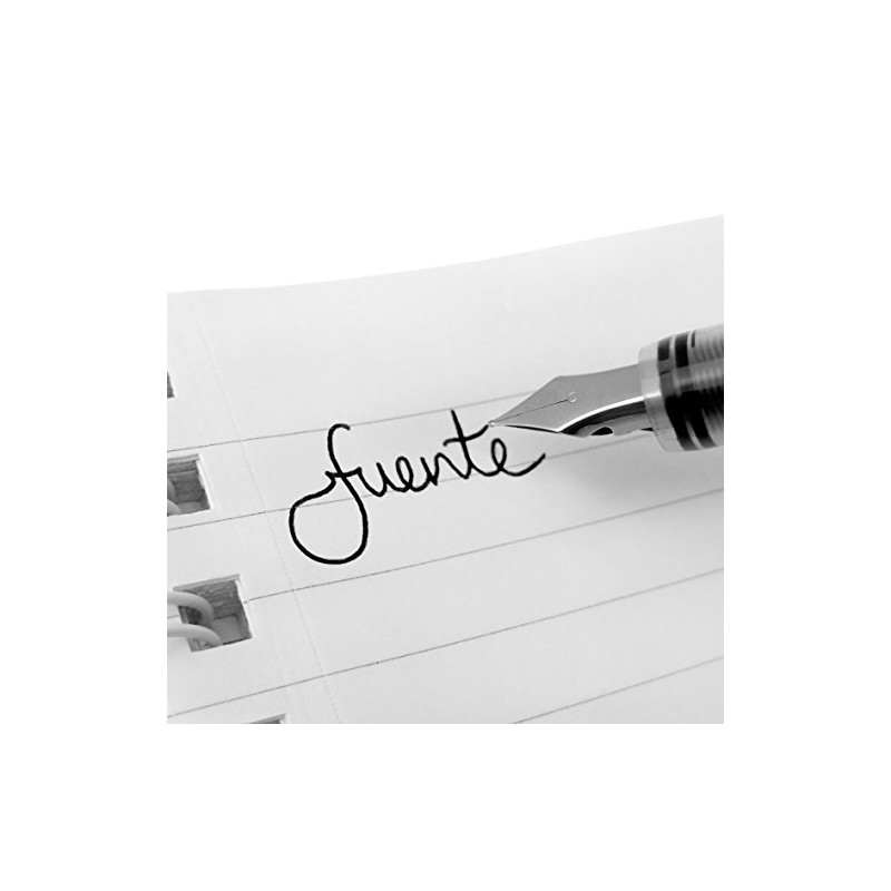 ZEBRA Fuente - Disposable Fountain Pen - Black Ink -