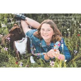 Lucky Love Dog - Easy Click Buckle Dog Collar with Leash Set Combo, Durable & Comfortable for Male & Female Dogs, Pet Collar for Small to Large Dogs, Secure Fit - Ladybird Combo, Small