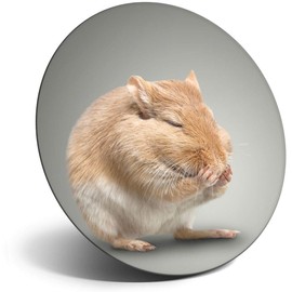 Destination Vinyl ltd Magnet for Refrigerator, Fridge - Cute Brown Mouse Gerbil Pet for Office, Cabinet and Whiteboard, Magnetic Stickers, 21917