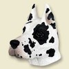 Great Den Haarquin Dog Head Magnet