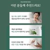 살므시 유기농 컬리케일 곱슬케일 60 정 x 1개 Salmsi Organic