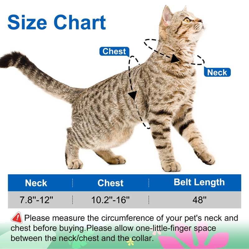 Cat Harness and Leash Set with Matching Collar – Escape