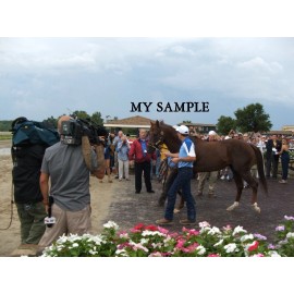 NEW 2019 SMARTY JONES STAKES PHILLY PARK HORSE RACING PHOTO #3 SMARTY DAY EVENT