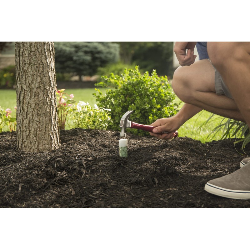 Miracle-Gro Fertilizer Spikes for Trees and Shrubs, 12 Pack (Not