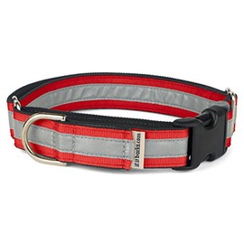 If It Barks 1" Reflective Martingale Collar with Quick Snap Buckle for Dogs, Adjustable, Made in USA,Large, Red
