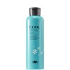 EARTHEART Vegan Cool Shampoo Treatment (Shampoo)