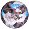 CUCUBA Volleyball Beach Training Toy Size 5 Eagle