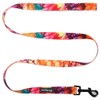 Welyeme Dog Collar and Leash Set for XSmall Small Medium