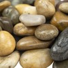 MSI Decorative Polished Mixed Pebbles, 0.8 inch - 1.2 inch,