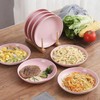 GZTFPQ Plastic Plates Reusable Set of 4,Unbreakable Plastic Dinner Plates
