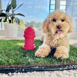 Silicone Potty Training Dog Fire Hydrant | Pee Training for Male Dogs | Petite 4" W x 7" H