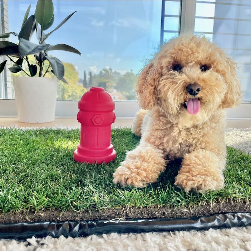 Silicone Potty Training Dog Fire Hydrant | Pee Training for