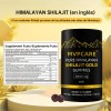 Mvpcare Shilajit Gummies Shilajit Puro Del Himalaya 85 Micronutrientes Apto