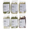 Pasta Deliziosa! Handcrafted Pasta Variety Pack, All Flavors, 12 Ounce