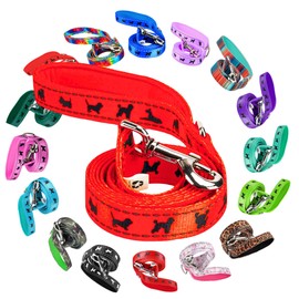 EcoBark Dog Leash - Soft & Reflective Comfort Leashes with Padded Handle - Safe, Strong, & Durable for Small, Medium or Large Dogs (Orange)