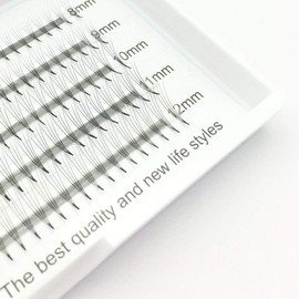 EMEDA Volume Eyelashes D Curling 2 Compartments 8 9 10 11 12 mm 2D 3D 4D 5D 6D 8D 10D Cluster Eyelash Pre Volume Fan Eyelashes for Salon Use Eyelash Extension