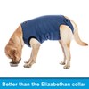 COODEO Dog Surgery Recovery Suit, Waterproof Recovery Suit for Dogs,