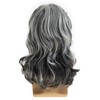 Baruisi Long Wavy Grey Wigs for Men Synthetic Layered Wavy
