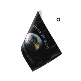 6" x 9" Eagle American Flag for Harley Davidson Honda Goldwing CB VTX CBR Yamaha Motorcycle flags