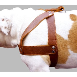 Brown Leather Dog Harness, Large. 28"-34" Chest, 1.5" Wide Straps, Rottweiler Bulldog