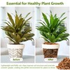 Legigo 1.1 LB Coco Husk Chips for Plants- 100% Organic