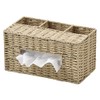 Chidorisangyou Tissue Case - W 10.2 x D 5.5 x H 5.3 inches (26 x 14 x 13.5 cm)