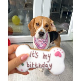 Dog Birthday Bandana, Birthday Girl Puppy Bandana for Small Medium Large Dogs