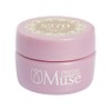 PREANFA PGU-S270 PGU-S270 Color Gel Vale Skin 270 0.1 oz