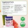 Tyillo Watermelon Slush Dietary Supplement-Gut,Constipation Relief-Summer Drinks-BoostMetabo