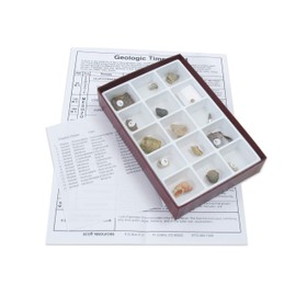 American Educational 15 Piece Specimen Mesozoic Fossils Collection