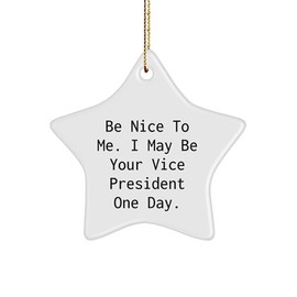 Funny Vice President Gift Ideas, Be Nice to Me. I May Be Your Vice President One Day. Star Ornament, Unique Christmas Decorations for Men, Women, Friends, Coworkers, Family