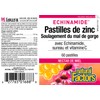 Natural Factors Zinc Lozenges with Echinamide, Elderberry & Vitamin C
