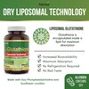 Herba Herba Liposomal Glutathione Supplement - 600mg Per Day |