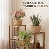Lounsweer Scalloped Paper Rope Planter Basket Set of 3, Wicker