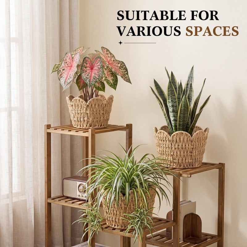 Lounsweer Scalloped Paper Rope Planter Basket Set of 3, Wicker