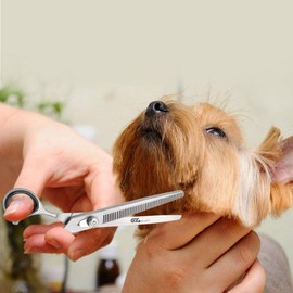 Pet Cat Dog Grooming Scissors Set Stainless Steel Professional Pet Trimmer Kit Thinning and Curved Sharp Shears for Small or Large Dogs, Cats