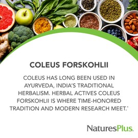 NaturesPlus Herbal Actives Coleus Forskohlii - 60 Vegetarian Capsules - Gluten Free - 60 Servings